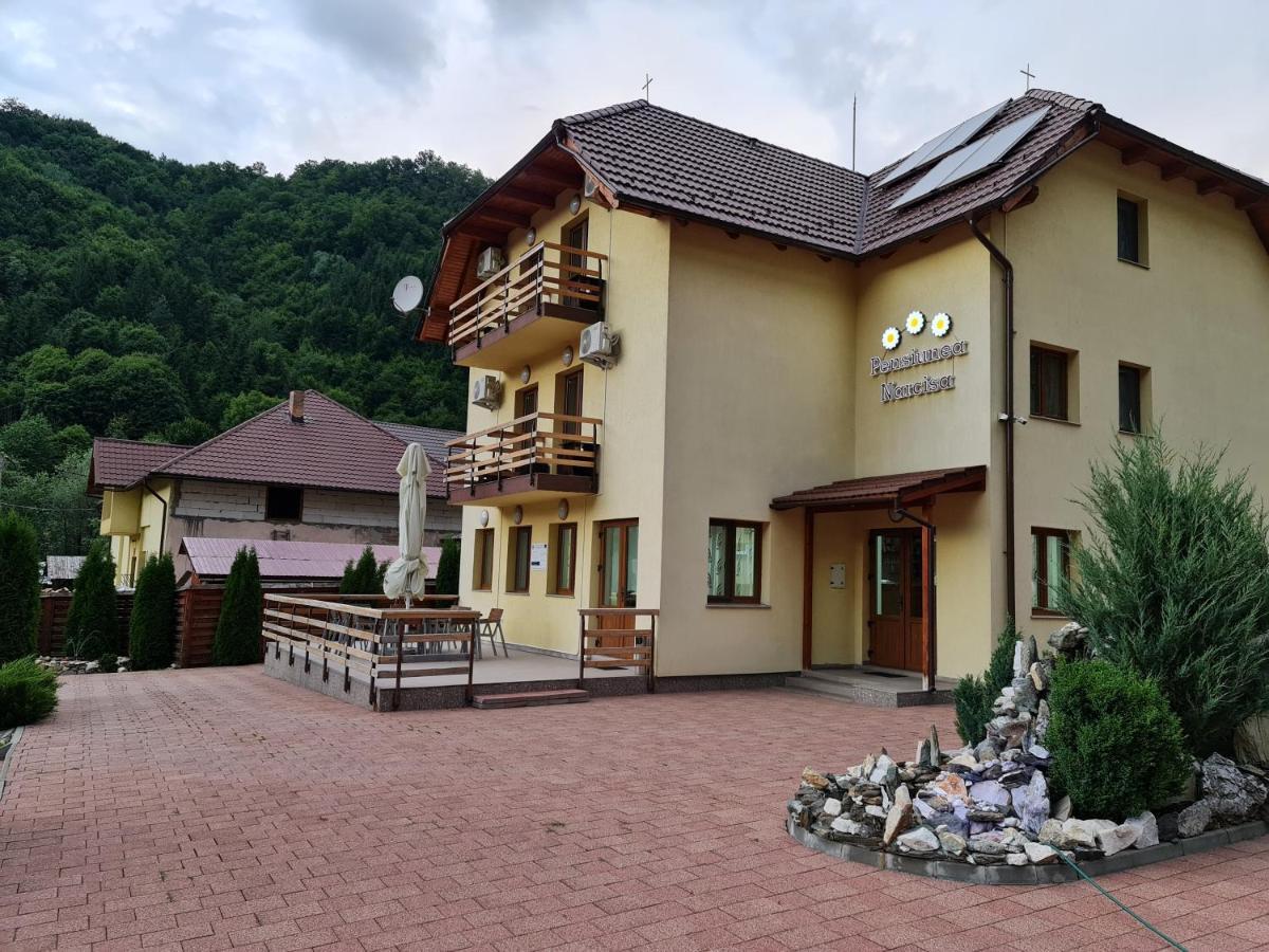 Pensiunea Narcisa Romuli Dış mekan fotoğraf